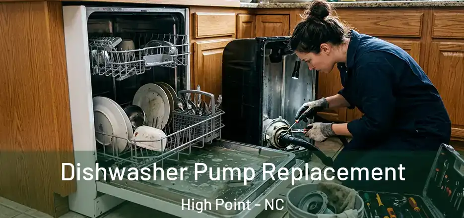  Dishwasher Pump Replacement High Point - NC