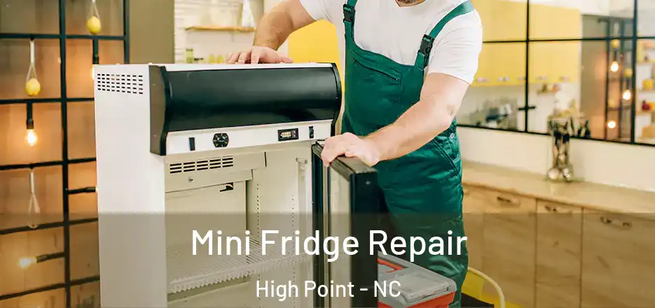  Mini Fridge Repair High Point - NC